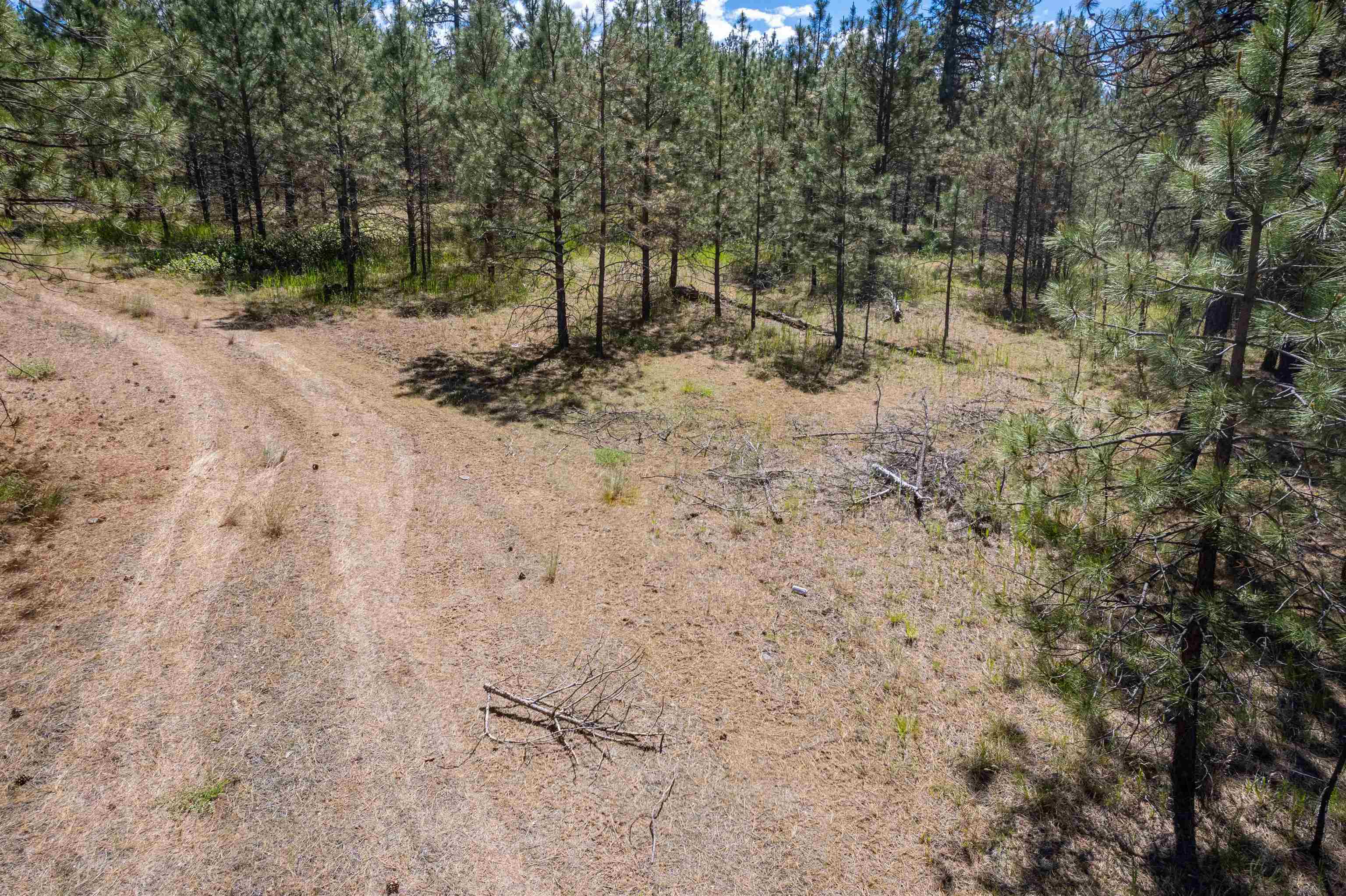 29-xxx North Hardesty Road Chattaroy, WA 99003 - Photo 34 of 40