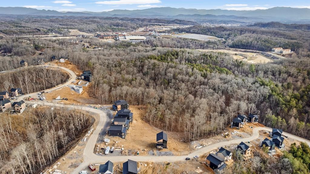 1214 Reedmont Way Sevierville, TN 37876 - Photo 28 of 47 Gallery Image 28