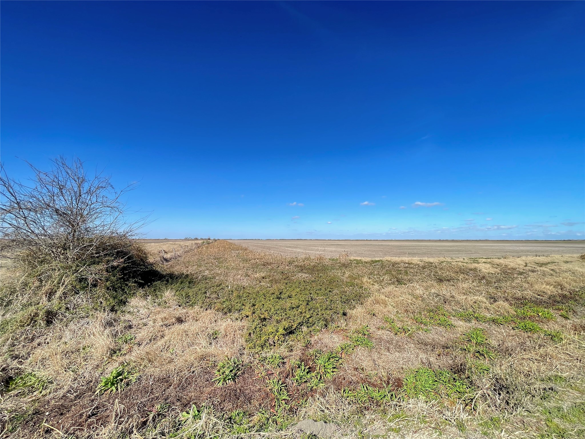 768 Million Dollar Road Palacios, TX 77465 - Photo 37 of 49