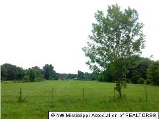 11 Yellow Dog Road Senatobia, MS 38668 - Photo 1 of 1 Primary Photo