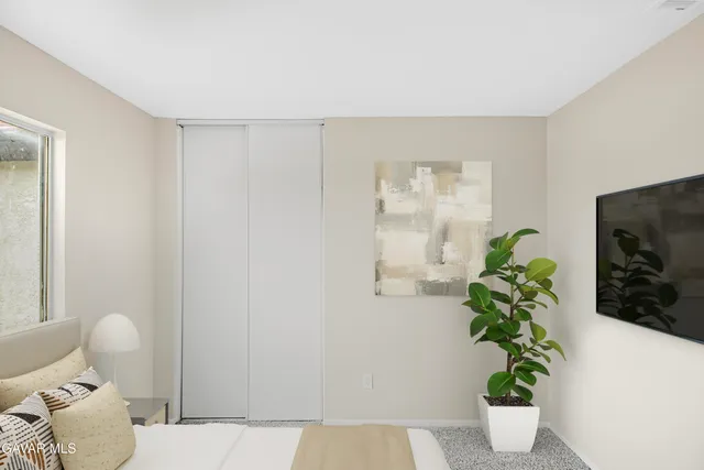 a living room with furniture and a potted plant