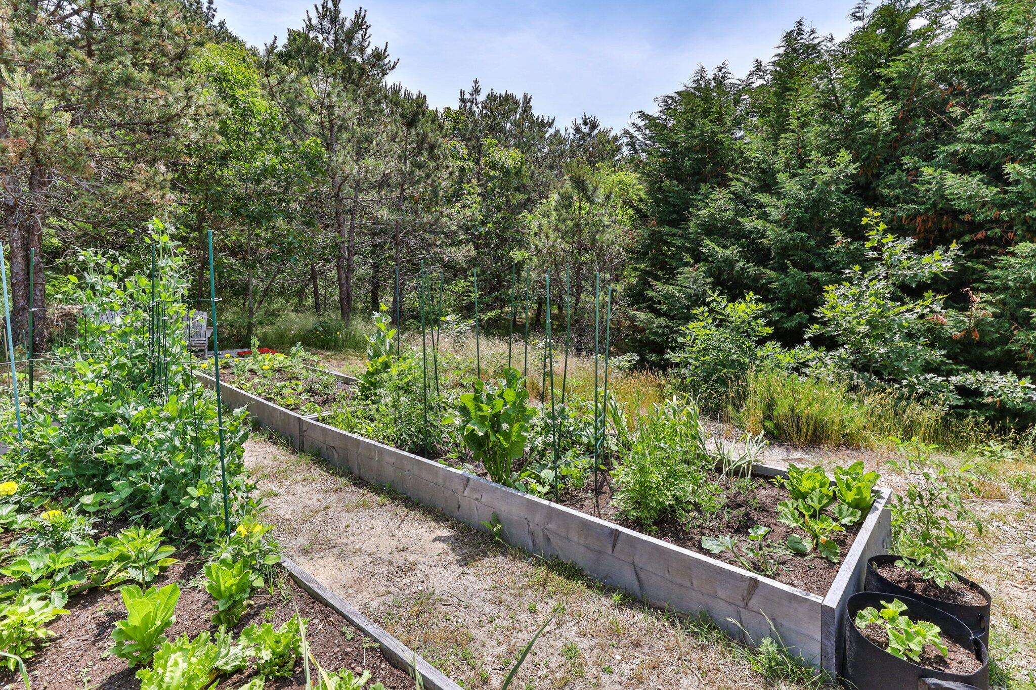 6 Shore Road, Unit 10 Truro, MA 02666 - Photo 31 of 37 a view of a garden from a balcony