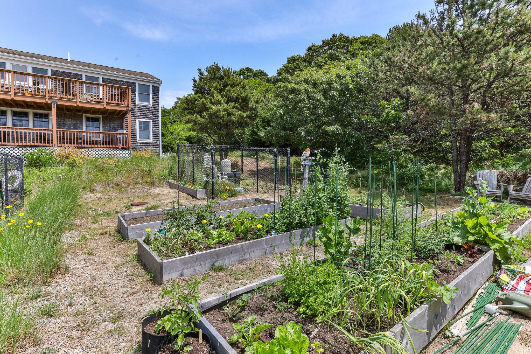 6 Shore Road, Unit 10 Truro, MA 02666 - Photo 32 of 37 a view of a brick house with a yard and plants