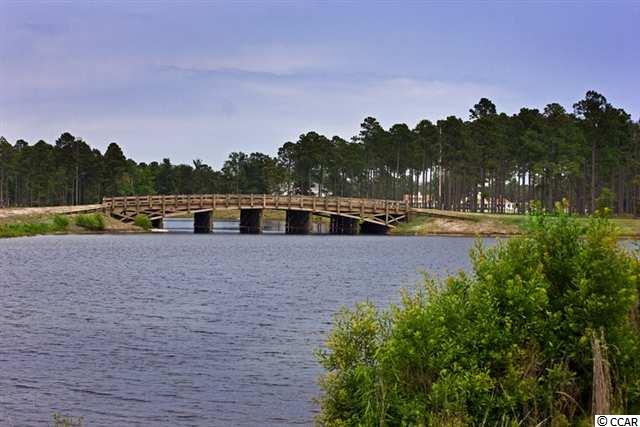 Lot 326 Fiddleway Way Myrtle Beach, SC 29579 - Photo 3 of 14 Gallery Image 3