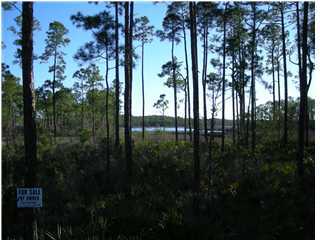 13 East Nursery Road Santa Rosa Beach, FL 32459 - Photo 1 of 1 a view of balcony