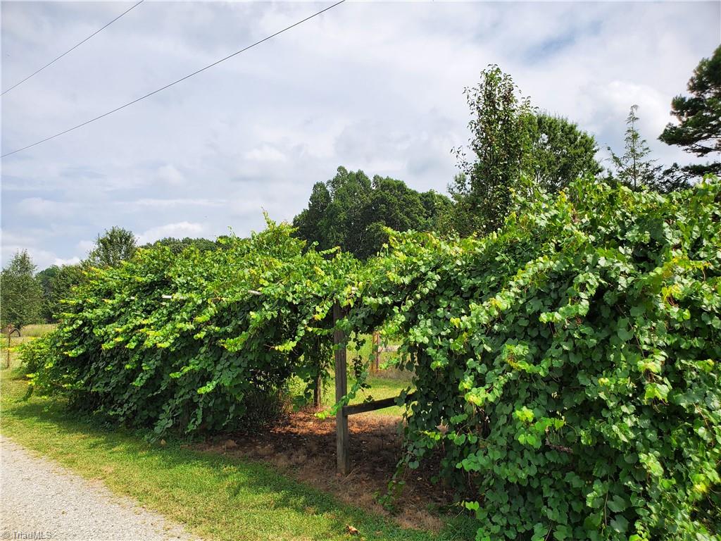 6745 Coltrane Mill Road Greensboro, NC 27406 - Photo 39 of 42