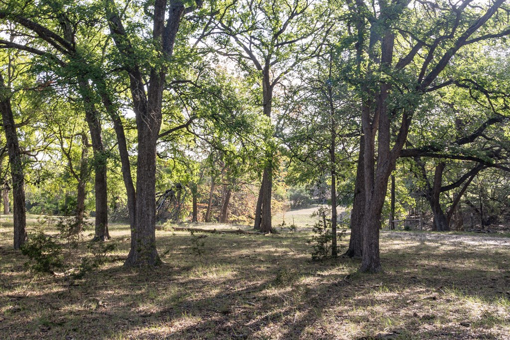 535 China Street Center Point, TX 78010 - Photo 13 of 28
