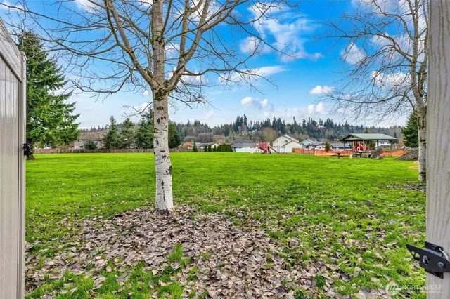 a view of a trees with a big yard