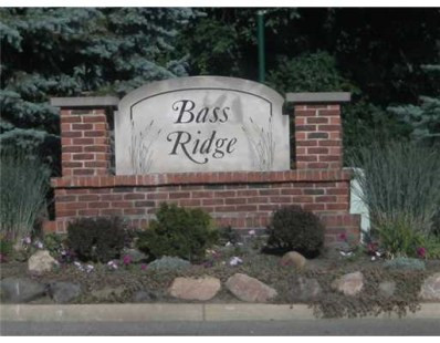 3492 Bass Ridge Pinckney, MI 48169 - Photo 9 of 10 Photo 9