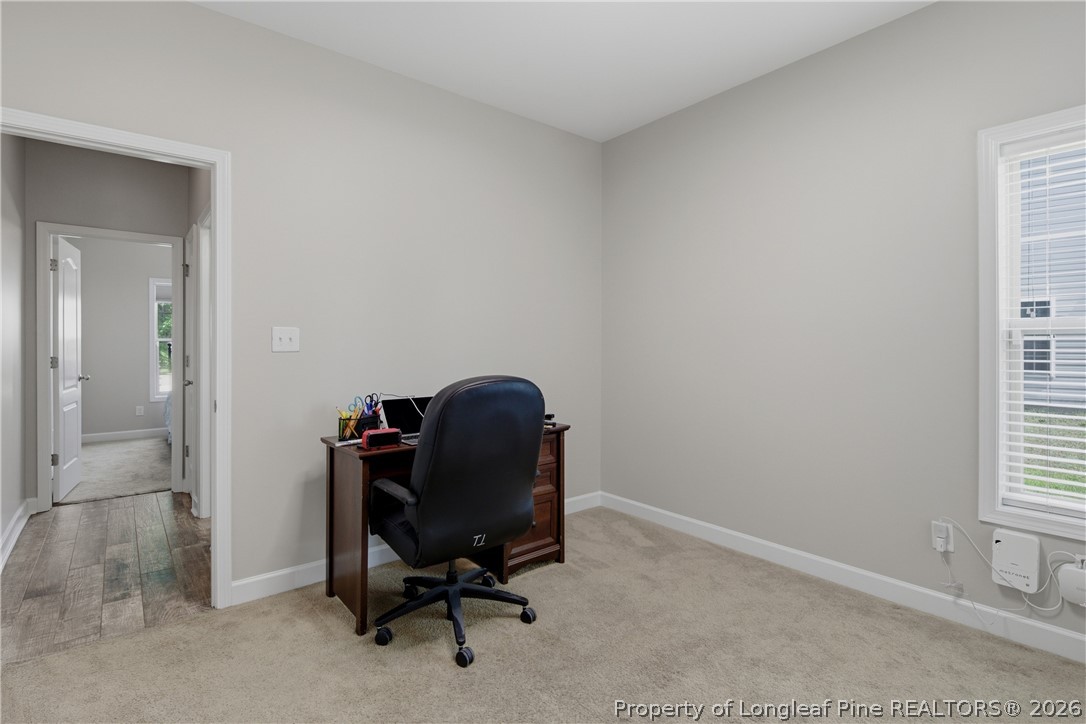 1094 St Johns Loop Raeford, NC 28376 - Photo 44 of 49
