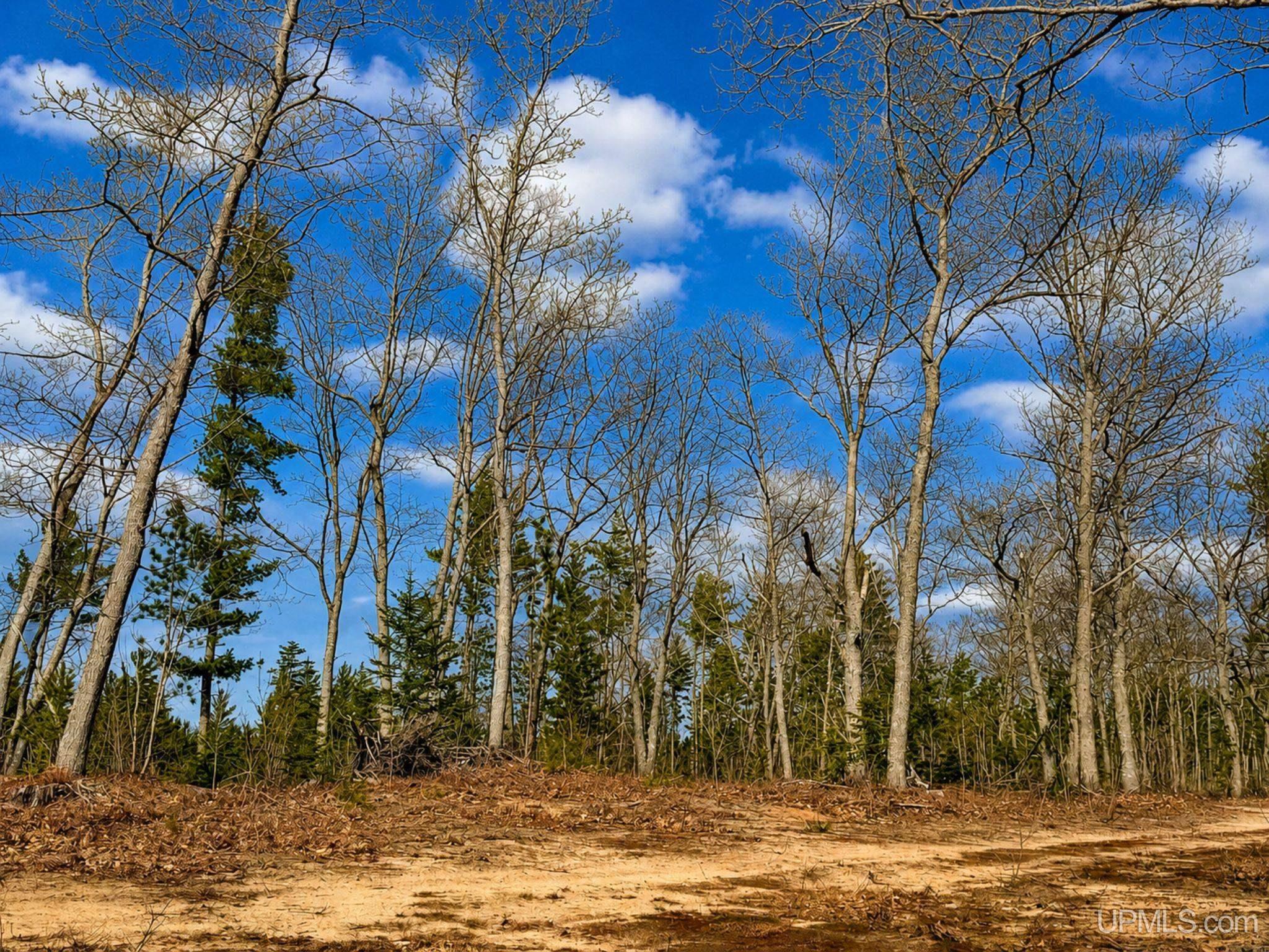 410 Rd Newberry Mi 49868 Road Newberry, MI 49868 - Photo 14 of 36
