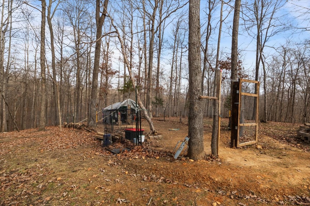 316 Friendship Drive Tennessee Ridge, TN 37178 - Photo 24 of 28 a small hurt covered with tall trees