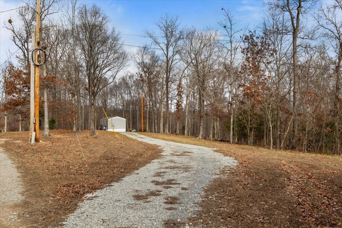 316 Friendship Drive Tennessee Ridge, TN 37178 - Photo 28 of 28 a backyard of a house with large trees
