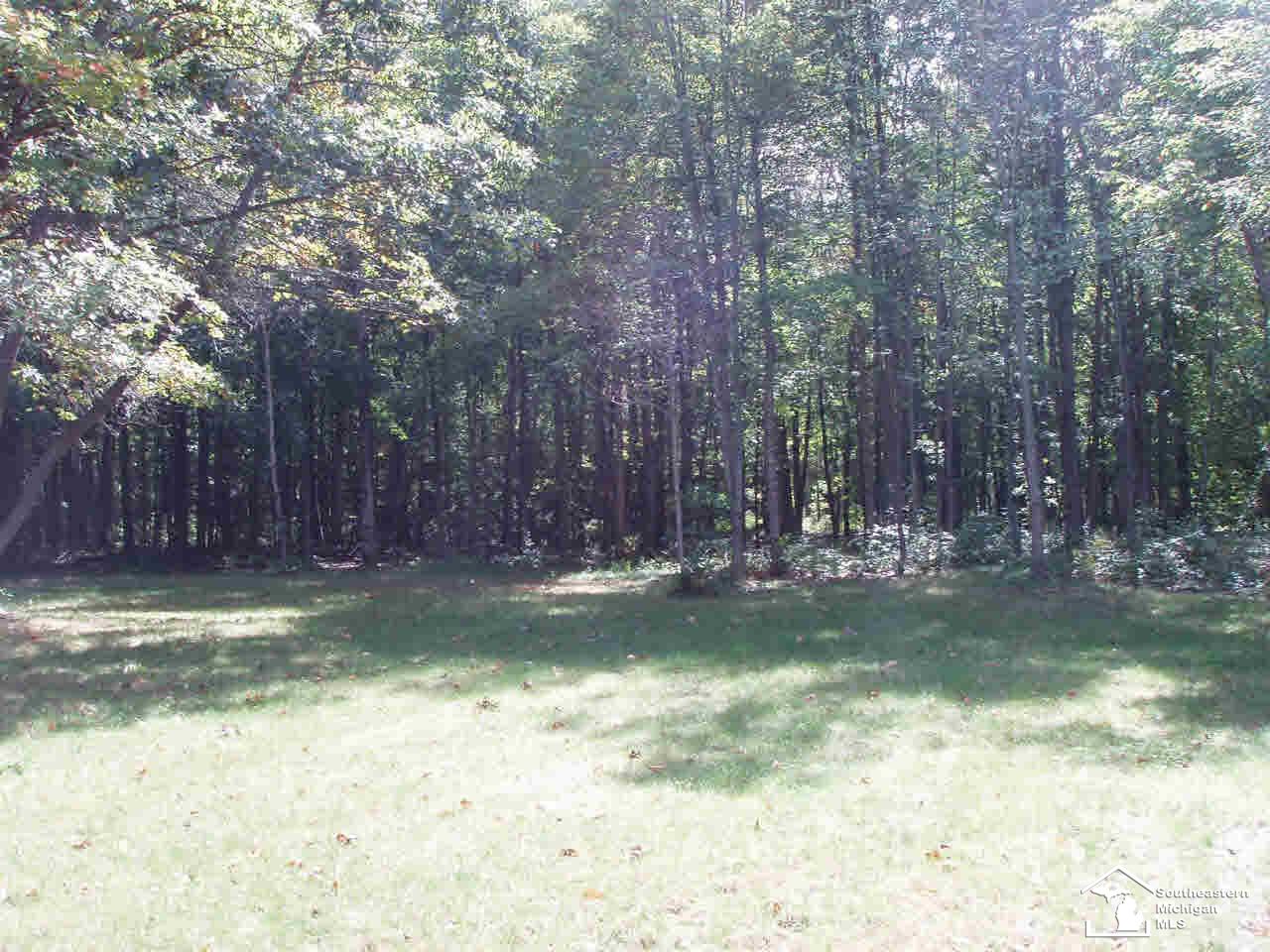 11601 Grames Road Milan, MI 48160 - Photo 7 of 9 20449543-6.JPG
