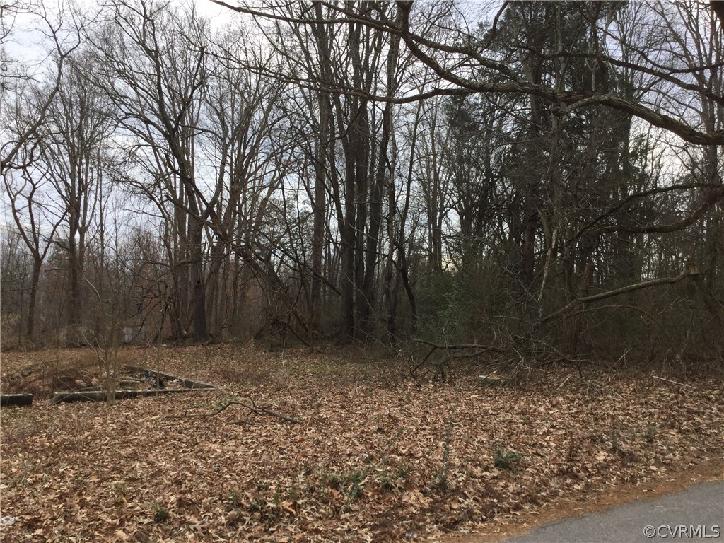 160 Bethlehem Road Farmville, VA 23901 - Photo 2 of 4