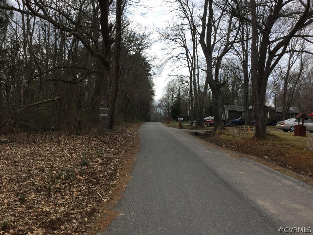 160 Bethlehem Road Farmville, VA 23901 - Photo 3 of 4
