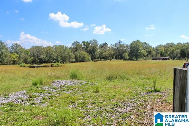 1239 Whisenant Road Ohatchee, AL 36271 - Photo 31 of 44 Gallery Image 31
