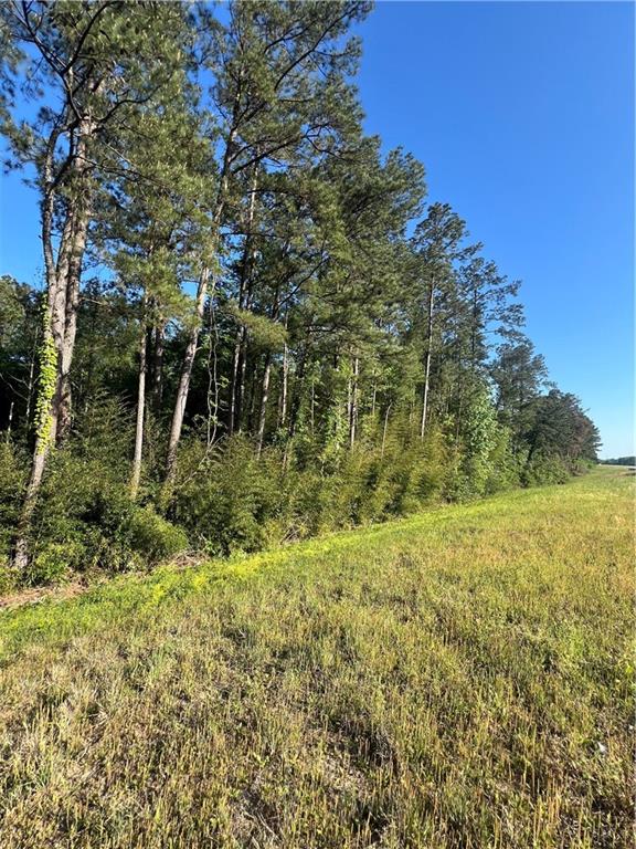 Nhn Nhn Sms Road Bogalusa, LA 70427 - Photo 2 of 6