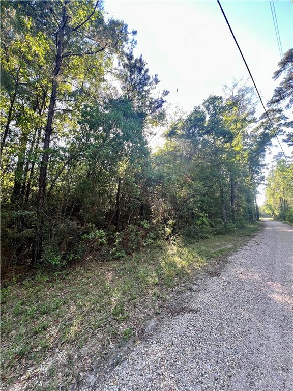Nhn Nhn Sms Road Bogalusa, LA 70427 - Photo 3 of 6