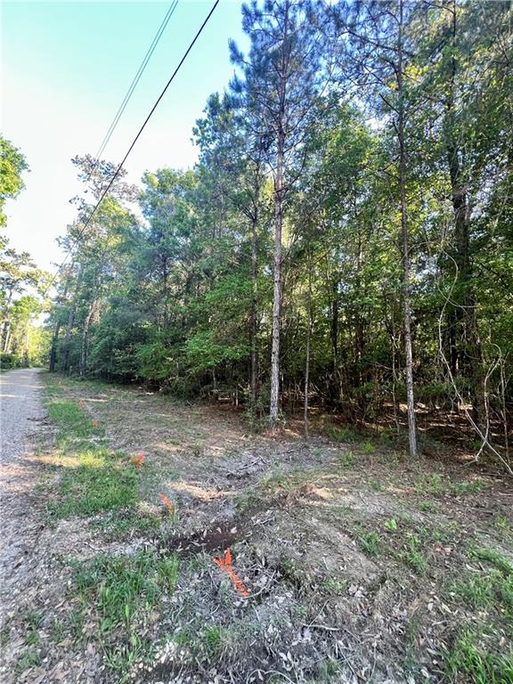 Nhn Nhn Sms Road Bogalusa, LA 70427 - Photo 4 of 6