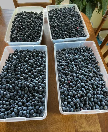 $362,900 | 11904 Cardinal Road Northwest, Bemidji, MN 56601