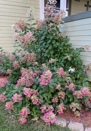 $362,900 | 11904 Cardinal Road Northwest, Bemidji, MN 56601