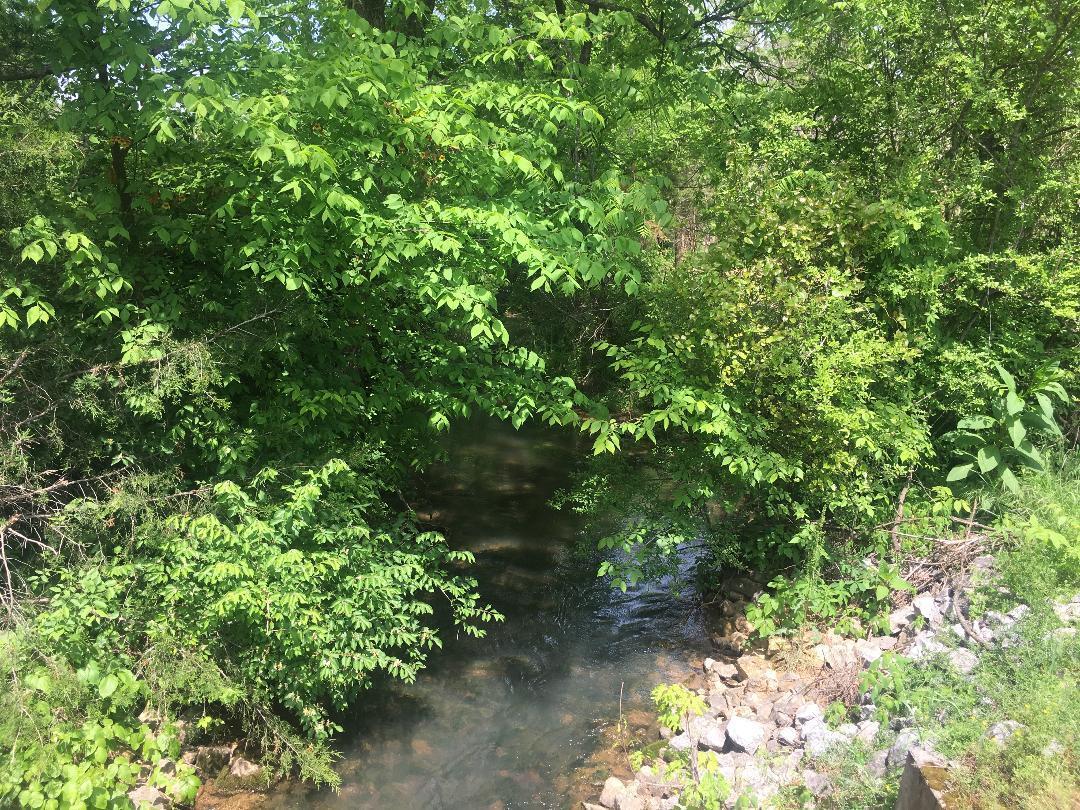 4833 Salem Road Greenback, TN 37742 - Photo 2 of 16 IMG_1777