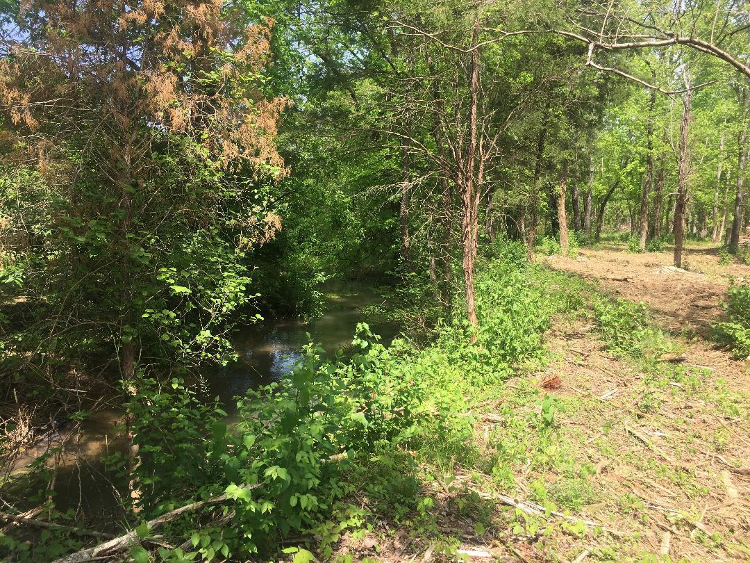 4833 Salem Road Greenback, TN 37742 - Photo 11 of 16 IMG_1783