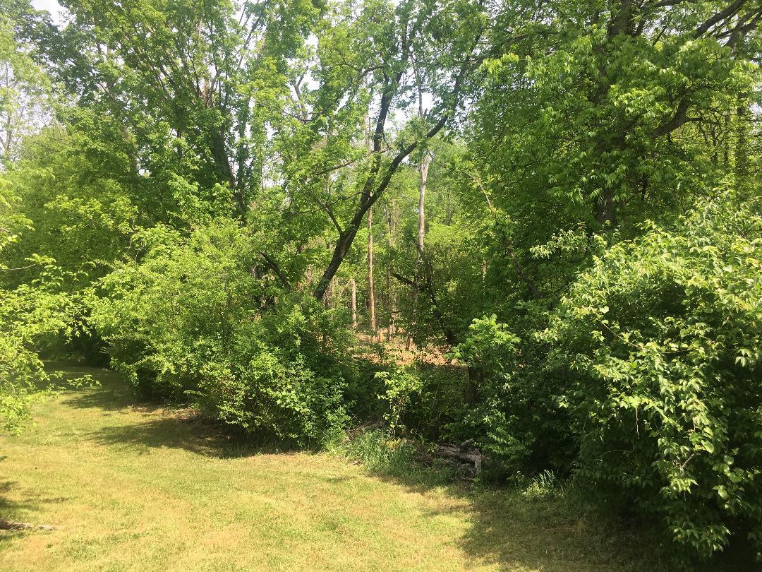 4833 Salem Road Greenback, TN 37742 - Photo 14 of 16 IMG_1787