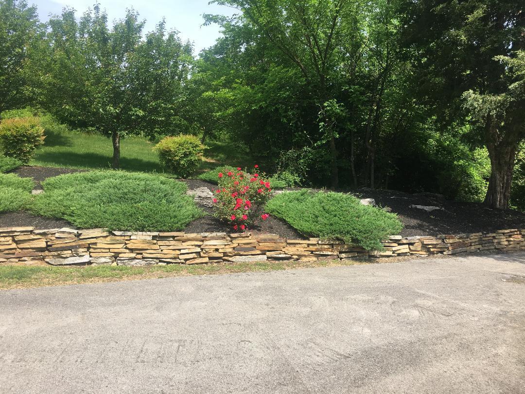 4833 Salem Road Greenback, TN 37742 - Photo 15 of 16 IMG_1773