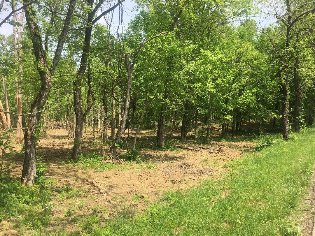 4833 Salem Road Greenback, TN 37742 - Photo 3 of 16 IMG_1778