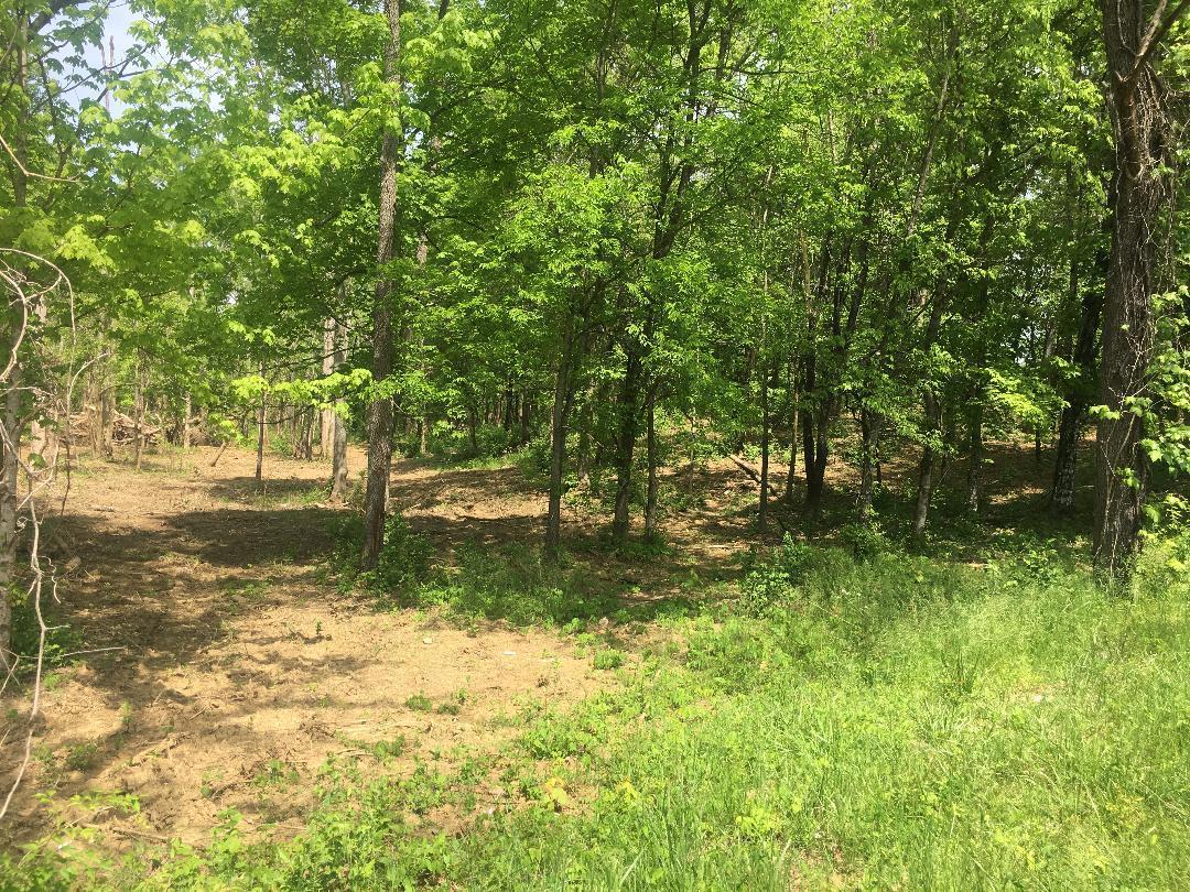4833 Salem Road Greenback, TN 37742 - Photo 4 of 16 IMG_1779