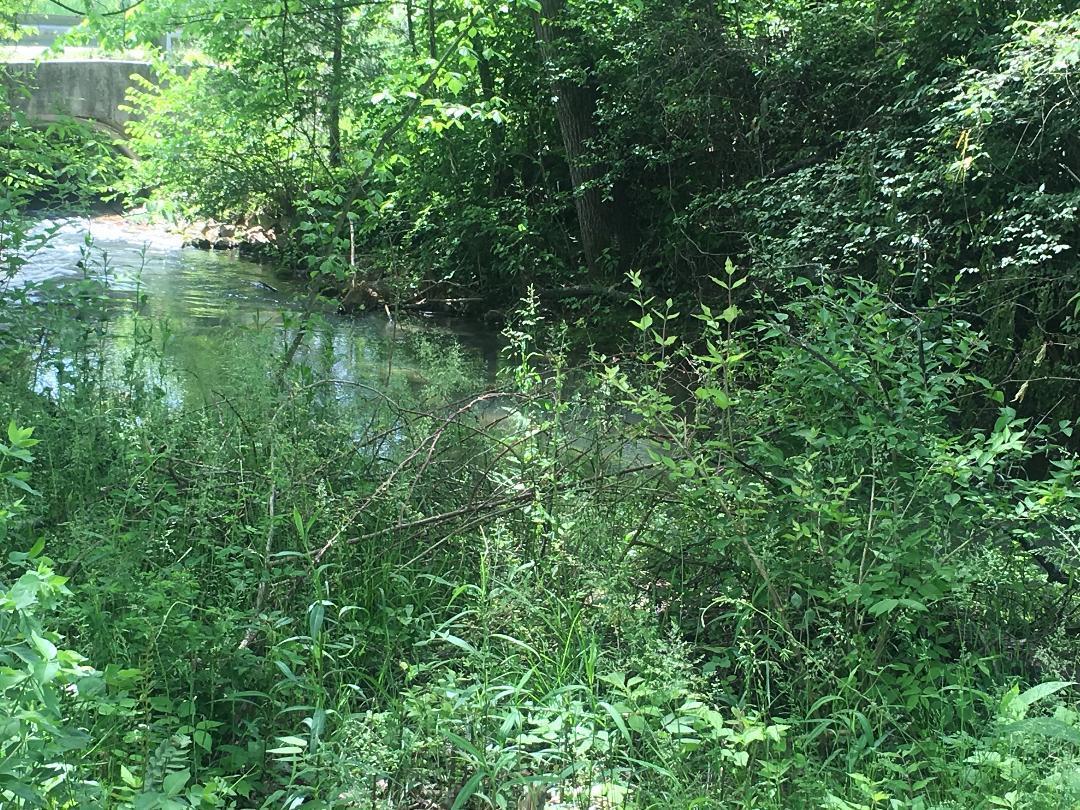 4833 Salem Road Greenback, TN 37742 - Photo 5 of 16 IMG_1786