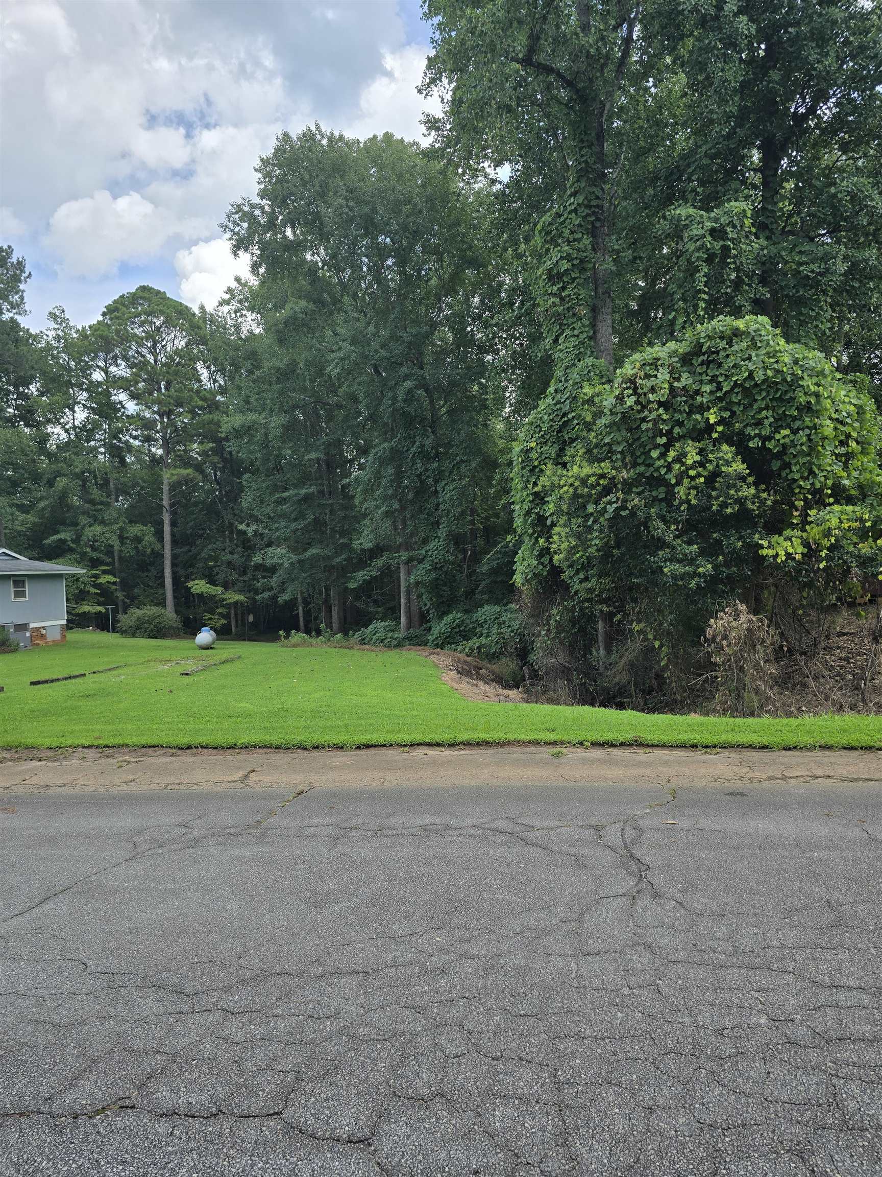 Lot 519 McCluney Drive Gaffney, SC 29340 - Photo 2 of 4