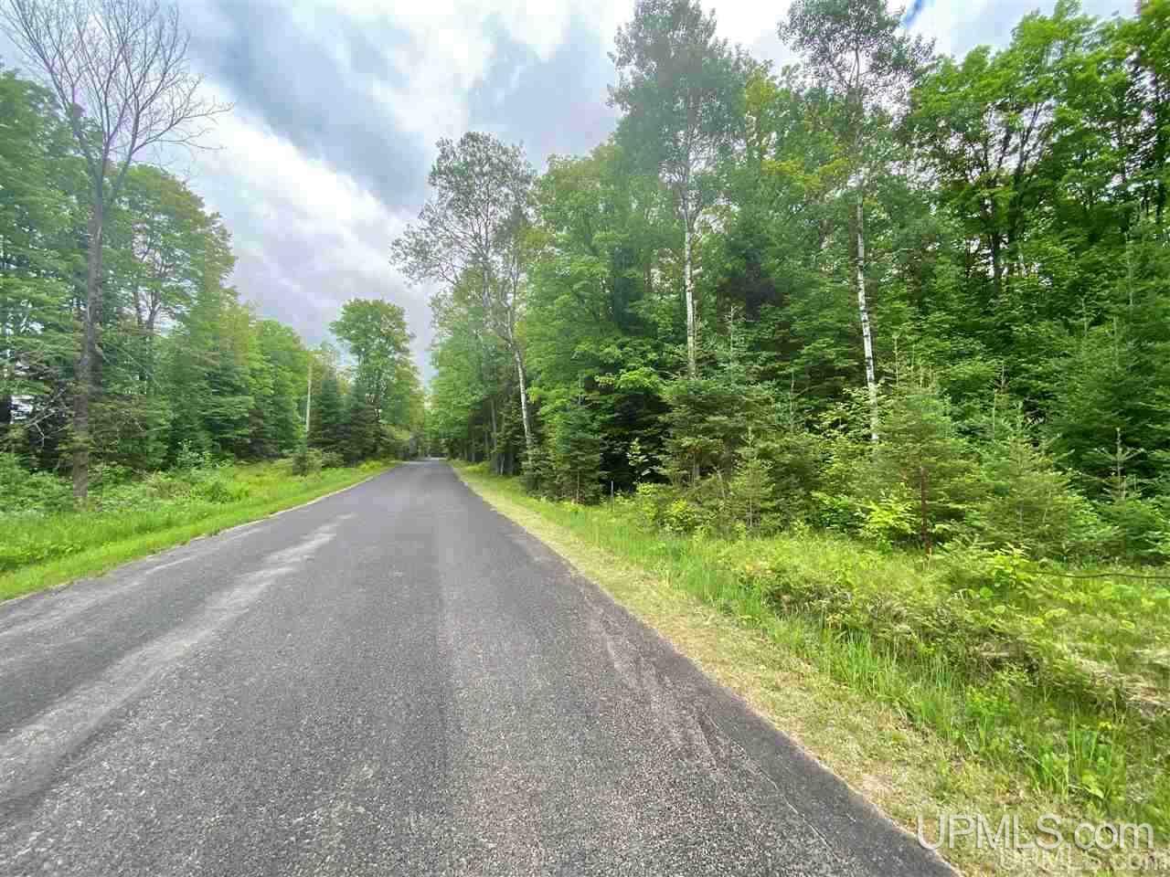 Tbd Kohon Road Crystal Falls, MI 49920 - Photo 3 of 3