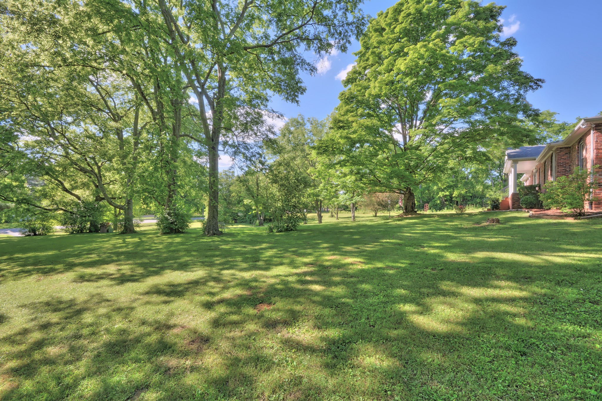 463 Walton Ferry Road Hendersonville, TN 37075 - Photo 35 of 37 a big yard with lots of green space and trees