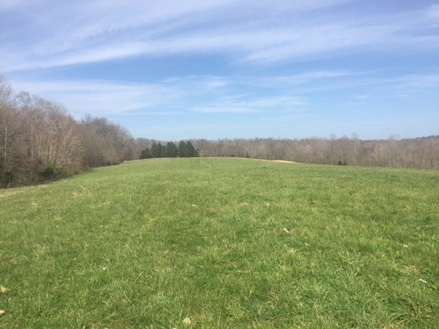 9999 Independence Ridge Road Breeding, KY 42715 - Photo 9 of 16 Gallery Image 9