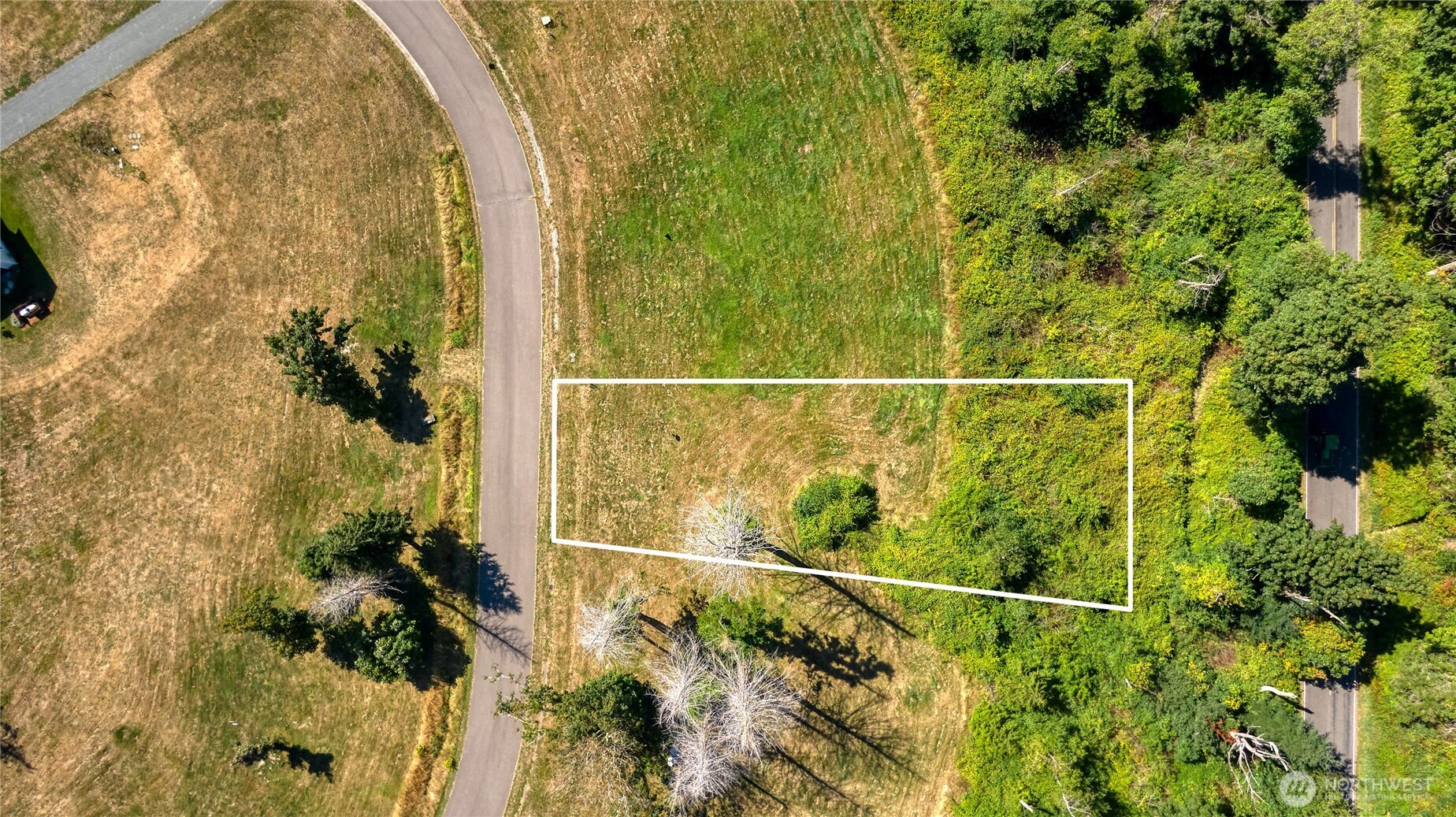 2128 Seabright Loop Point Roberts, WA 98281 - Photo 9 of 13 a view of a yard