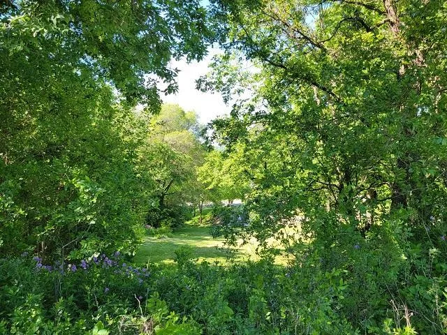 $34,900 | Xxx West Church Street, Belle Plaine, MN 56011