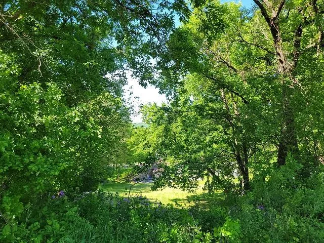 $34,900 | Xxx West Church Street, Belle Plaine, MN 56011