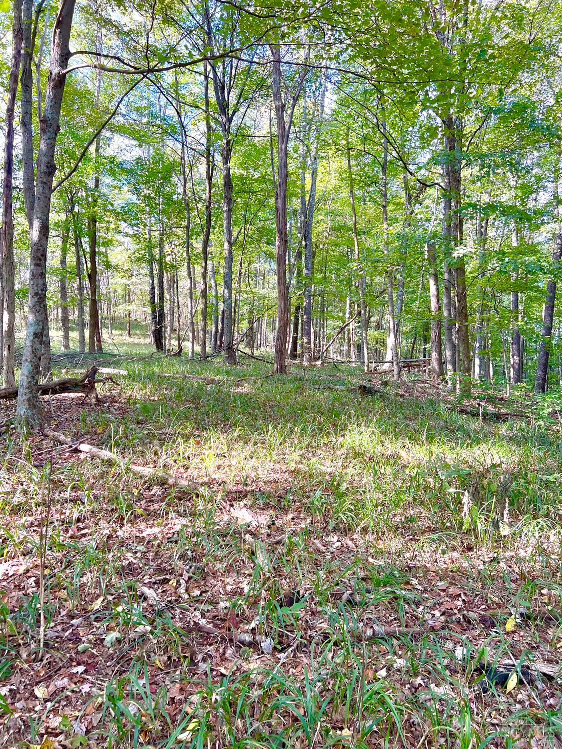 0 South Chenoweth Fork Road Piketon, OH 45661 - Photo 30 of 95