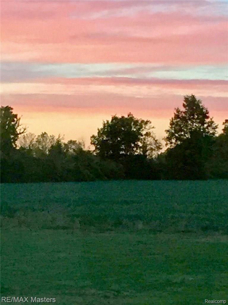 2933 Ready Road Carleton, MI 48117 - Photo 14 of 16 Sunsets will never get old!