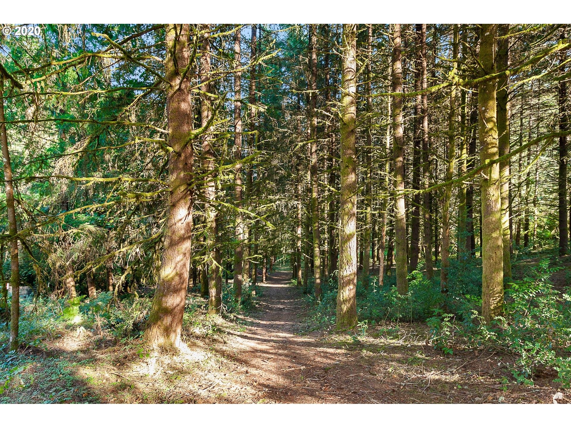 18740 Southwest Seiffert Road Sherwood, OR 97140 - Photo 28 of 32 a view of outdoor space and yard