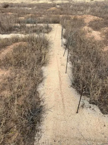 a view of beach with ocean