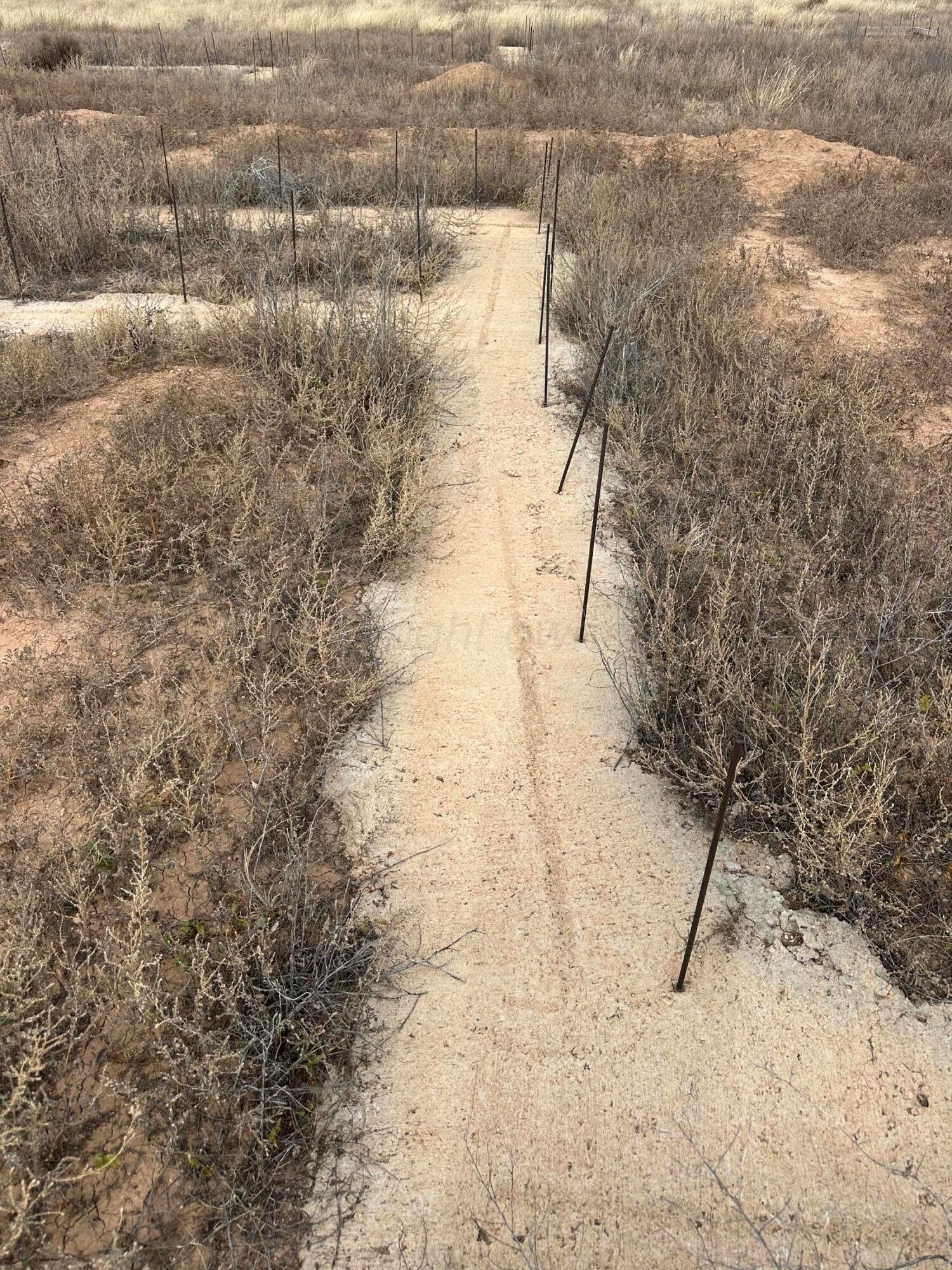 13374 Antenor Road Amarillo, TX 79124 - Photo 5 of 7