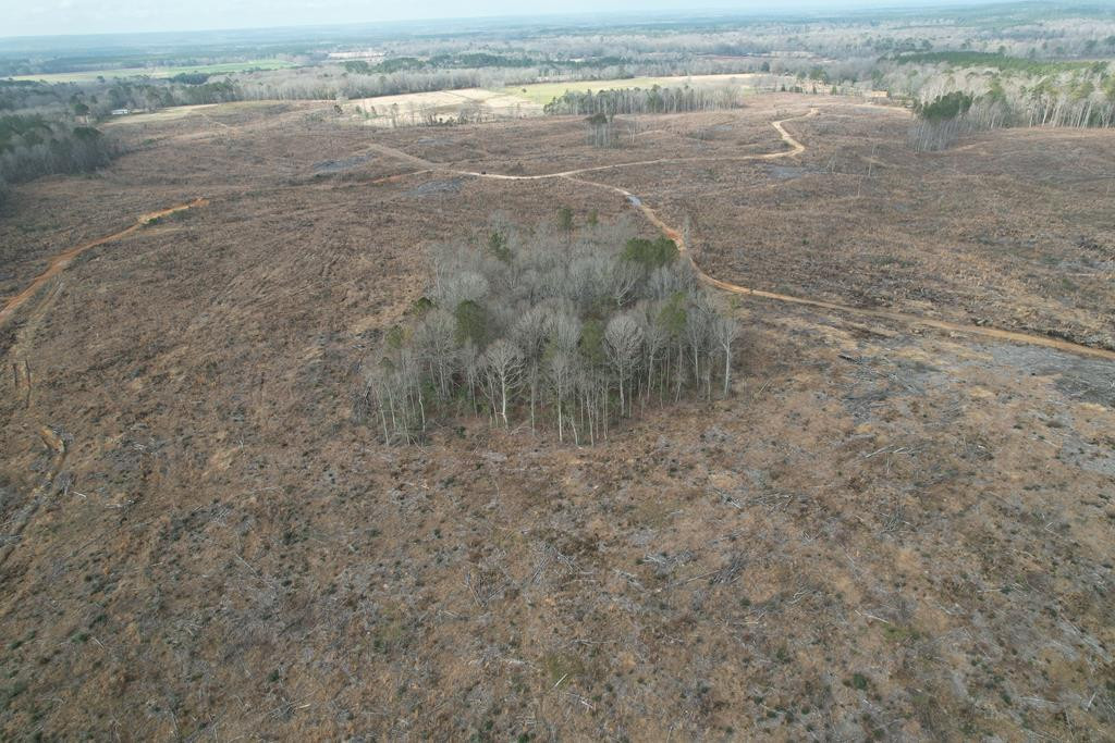 0 Garrett Road Silver Creek, MS 39663 - Photo 12 of 16 Photo 16