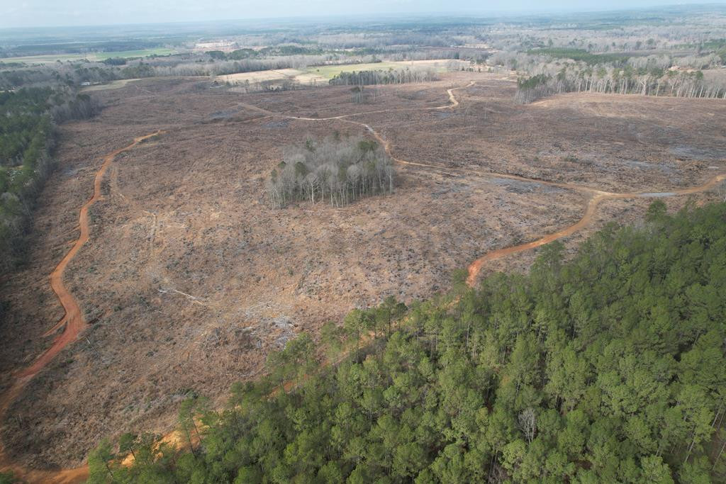 0 Garrett Road Silver Creek, MS 39663 - Photo 13 of 16 Photo 17