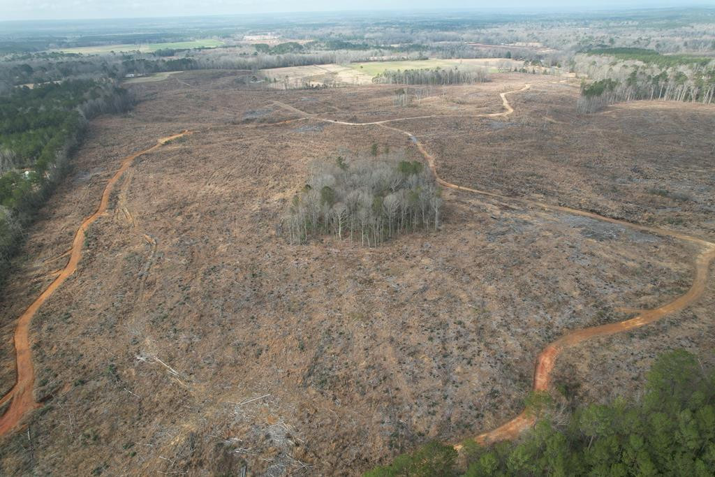 0 Garrett Road Silver Creek, MS 39663 - Photo 15 of 16 Photo 19