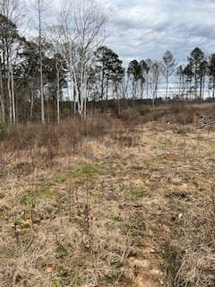 0 Garrett Road Silver Creek, MS 39663 - Photo 2 of 16 Photo 2