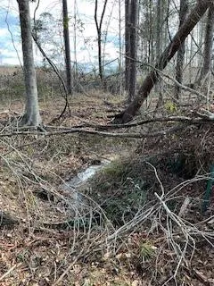 $551,816 | 0 Garrett Road, Silver Creek, MS 39663